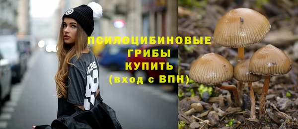 2c-b Абаза