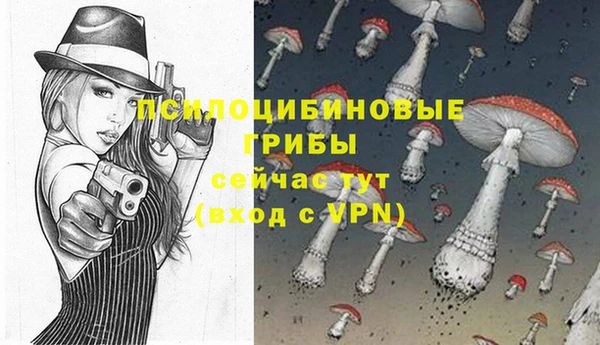герыч Алексеевка